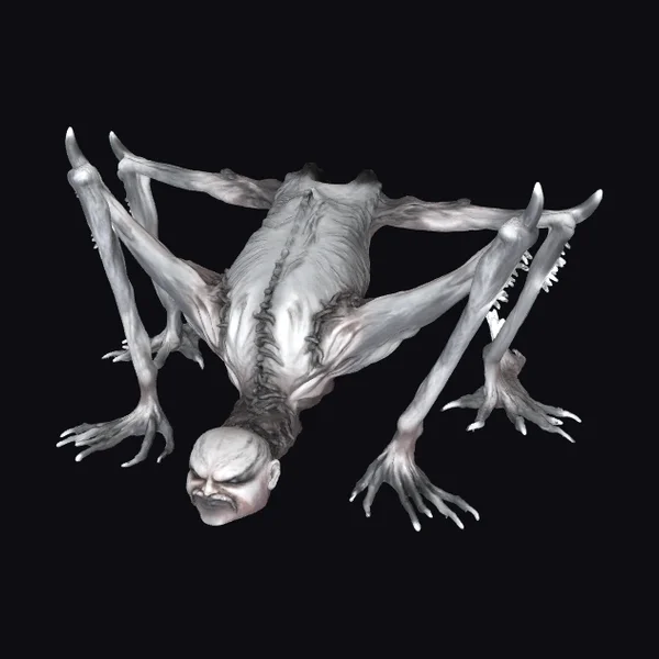 Arachnid Humanoid Creature