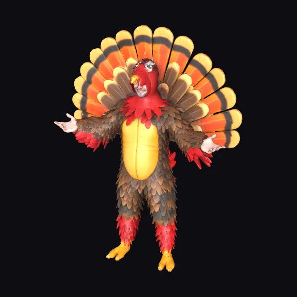 Inflatable Turkey Costume