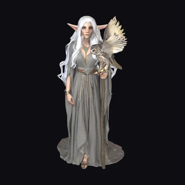 Elf Sorceress with Owl