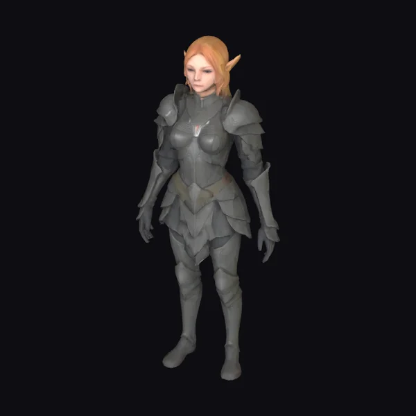 Elf Warrior in Gray Armor