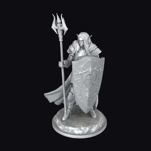 Elf Warrior with Shield