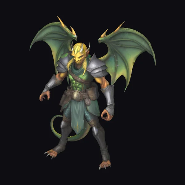 Half-Elf Dragon Warrior