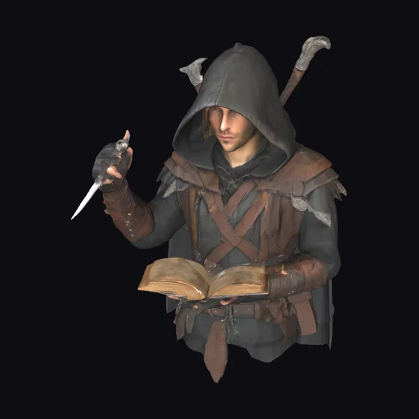 Half Elf Rogue Magician