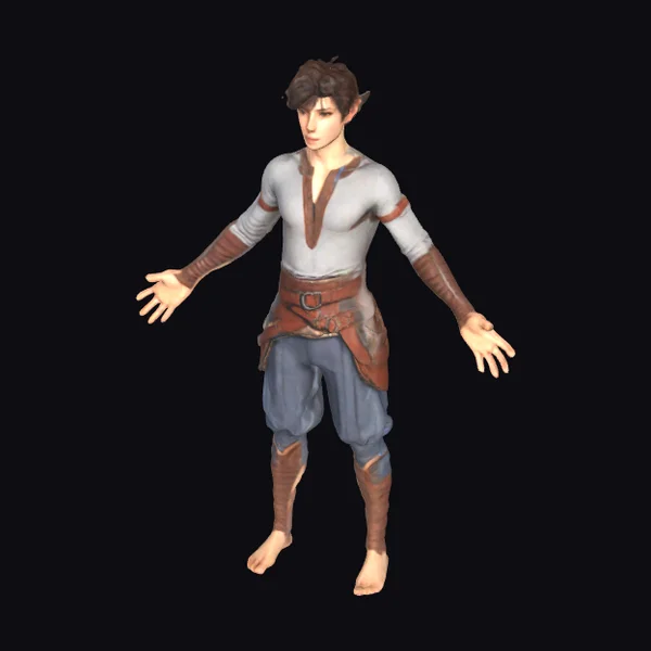 Elf Male Adventurer Standing