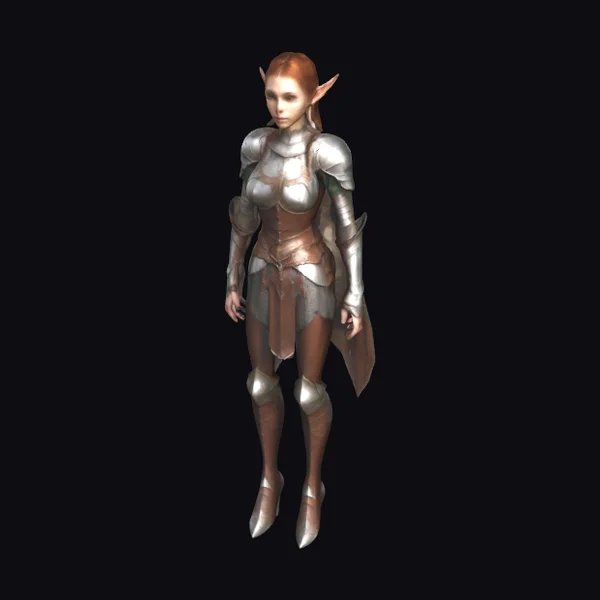 Female Elf in Armour