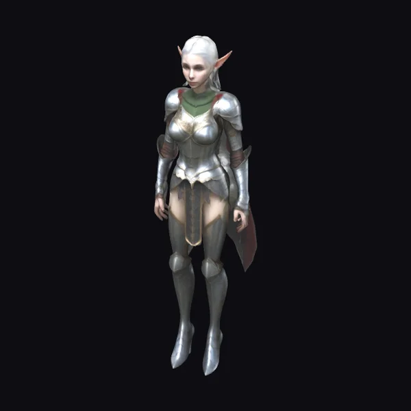 Female Elf in Armour