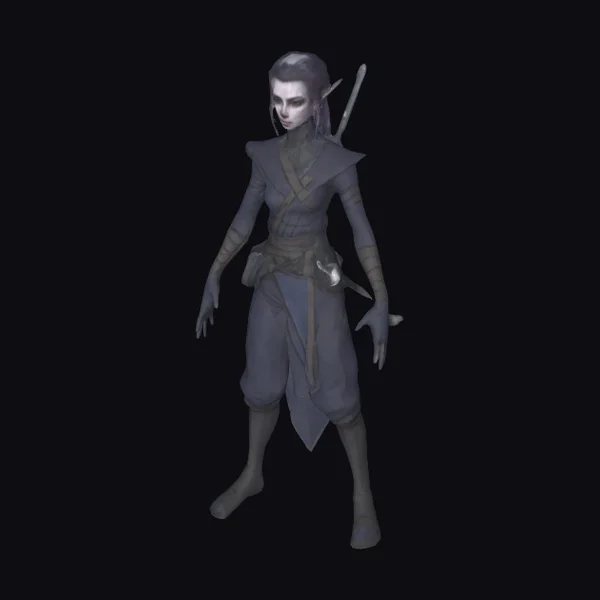 Shadow Elf Warrior