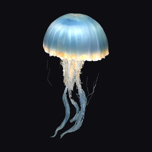 Glowing Blue Jellyfish
