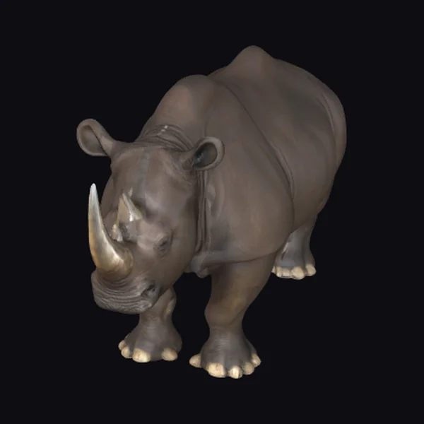 Large Black Rhino