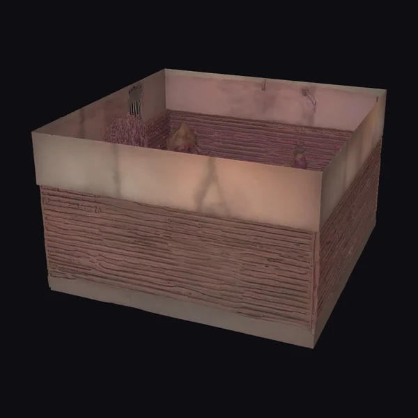 Rustic Wooden Crate Interior