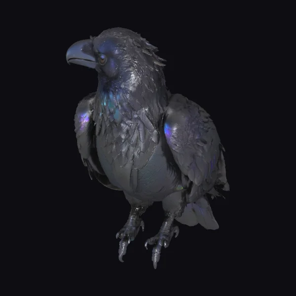 Dark Feathered Bird Creature