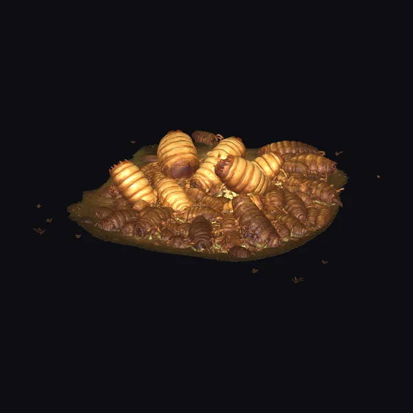 Maggot Infestation Scene