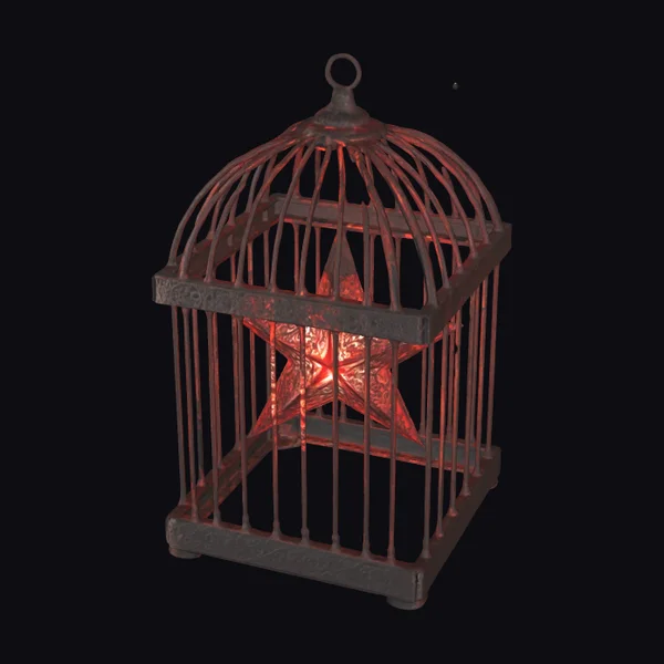 Rustic Star Cage Lantern