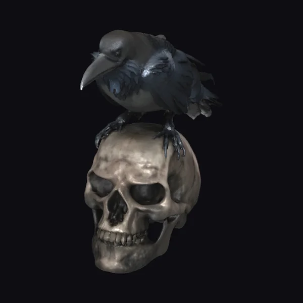 Raven on Skull