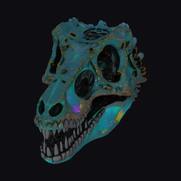Velociraptor Skull Fossil