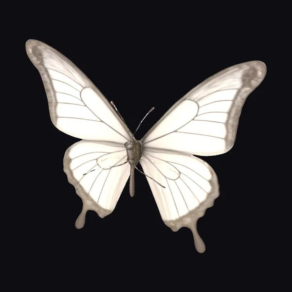 Translucent Butterfly