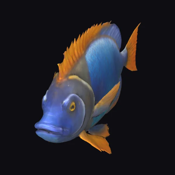 Blue Orange Fish