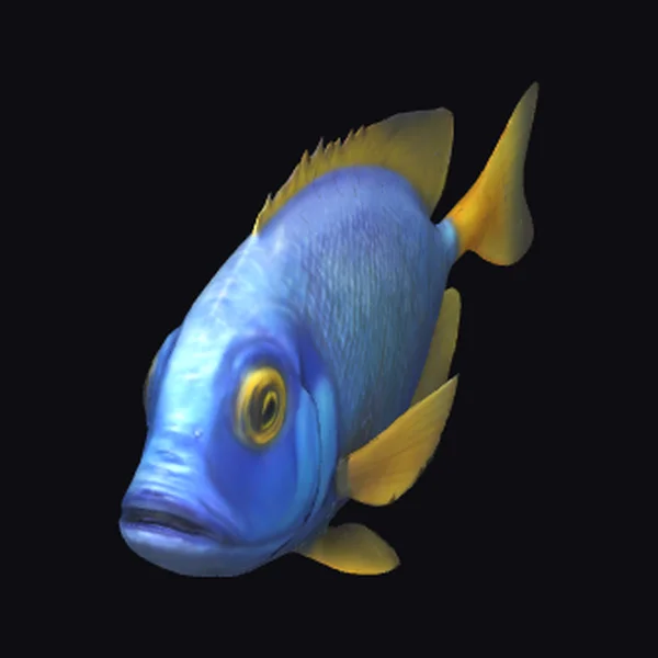 Blue Fish with Yellow Fins