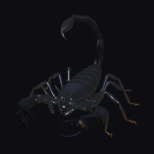 Black Scorpion on Sand