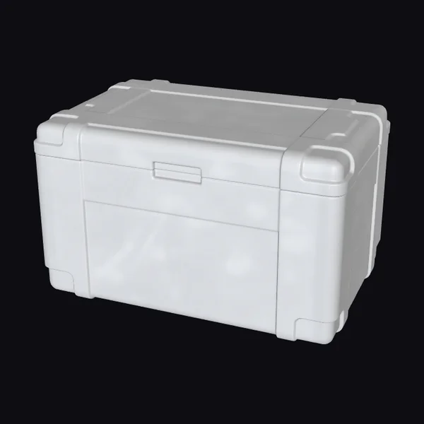 Foam Cooler Box