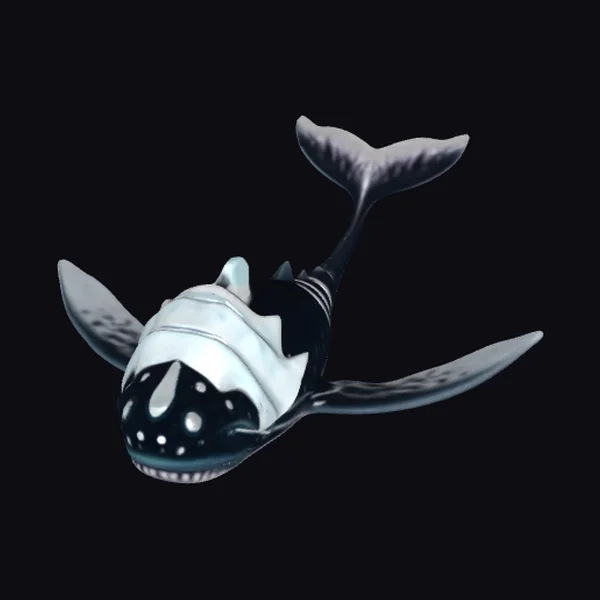 Black and White Whale