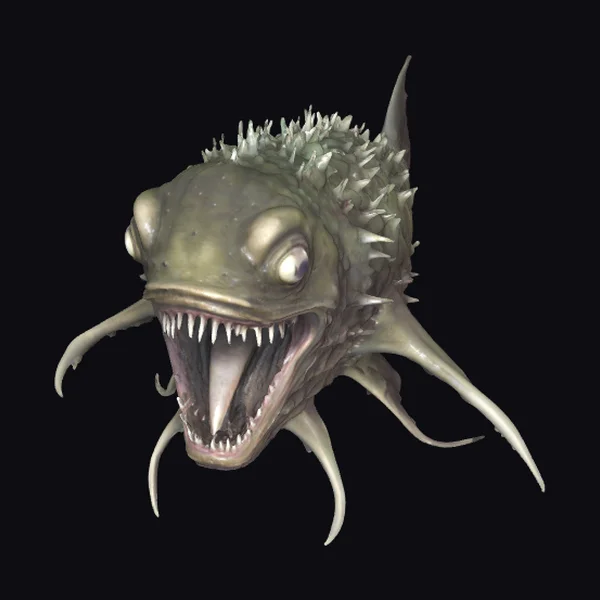 Anglerfish Head Closeup