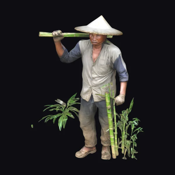 Asian Farmer with Bamboo