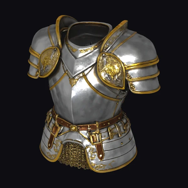 Golden Accented Silver Armor