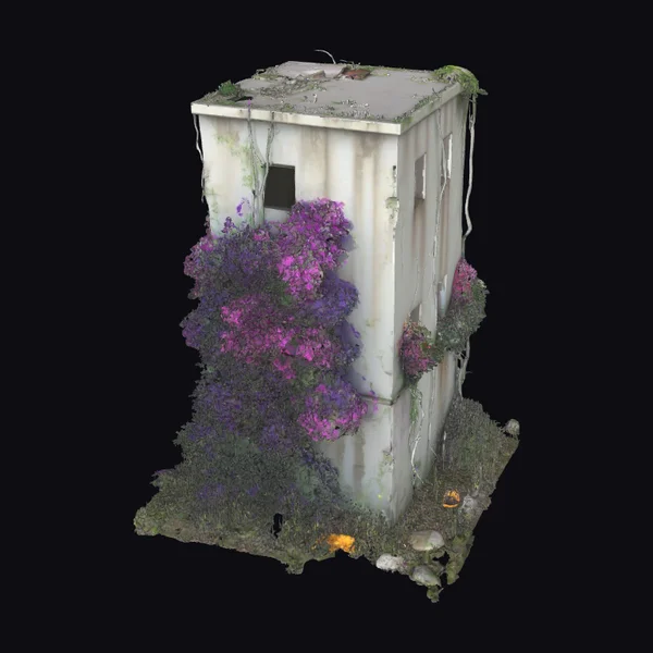 Abandoned Building Overgrown