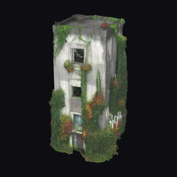 Abandoned Building Overgrown