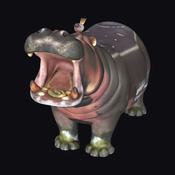 Yawning Hippopotamus