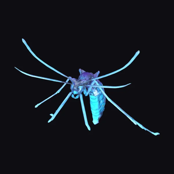 Glowing Blue Mosquito