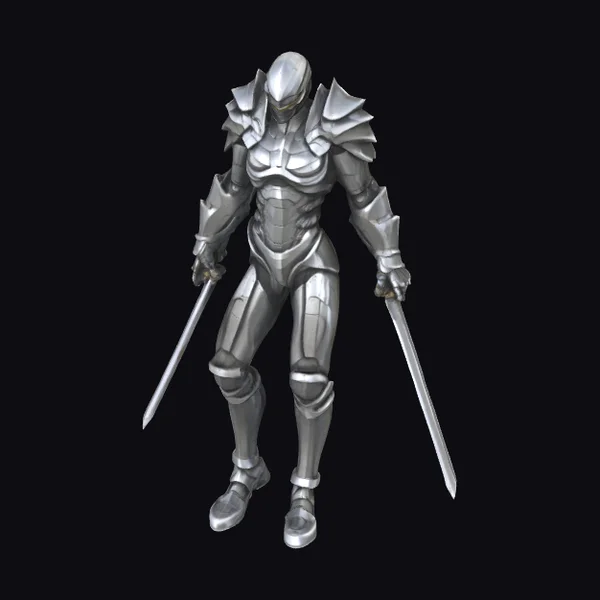 Armored Warrior with Swords