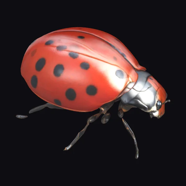 Red Spotted Ladybug