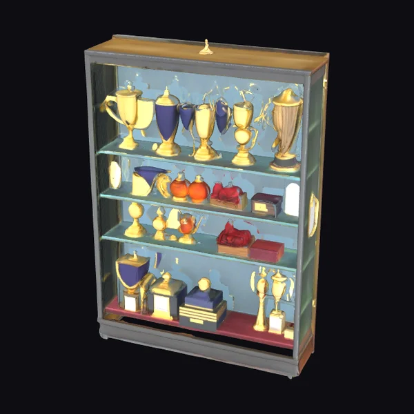 Trophy Cabinet Display