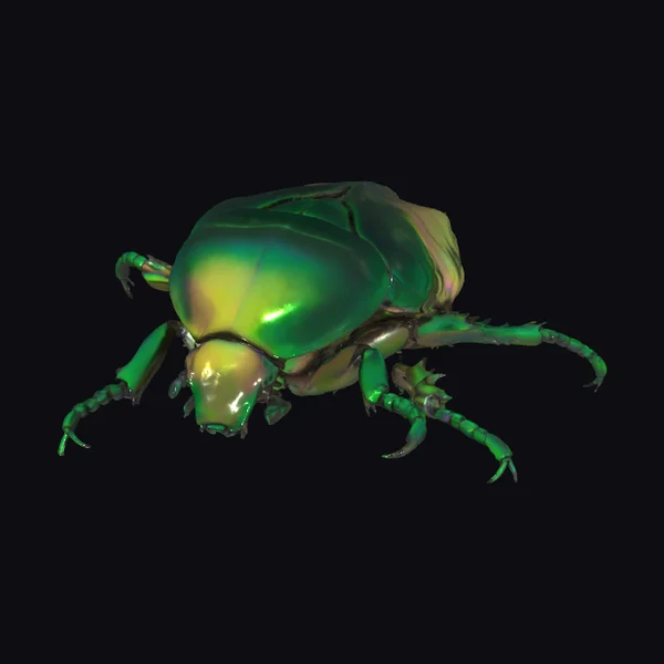 Emerald Green Beetle