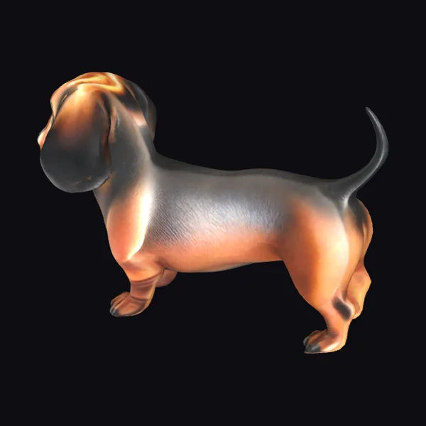 Shiny Dachshund Dog