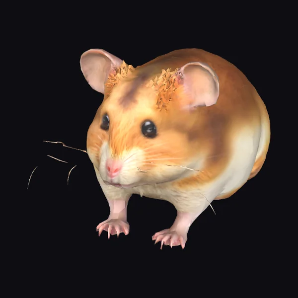 Cute Hamster Portrait