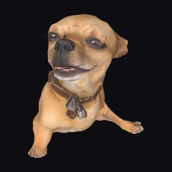 Smiling Dog with Collar