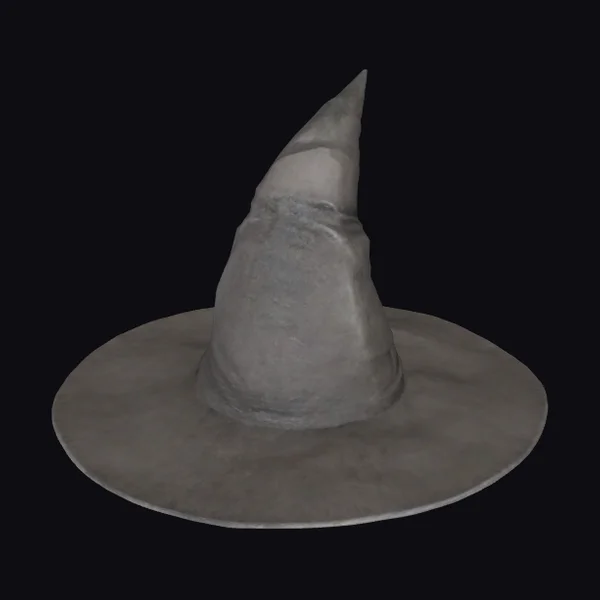 Witch's Dark Gray Hat
