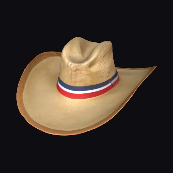 American Cowboy Hat