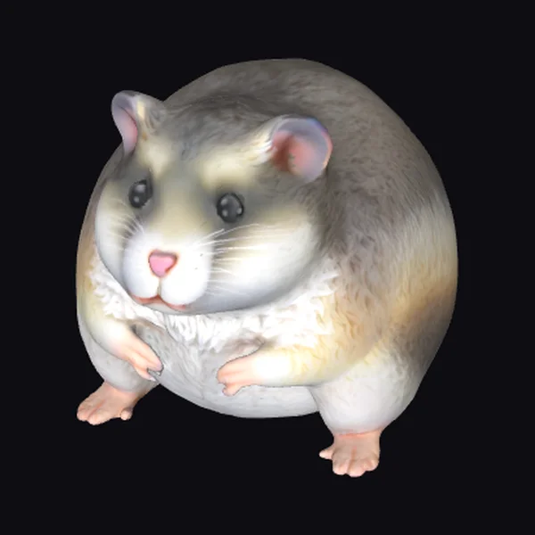 Chubby Hamster
