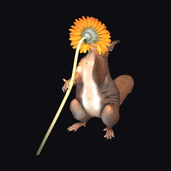 Squirrel with Big Flower