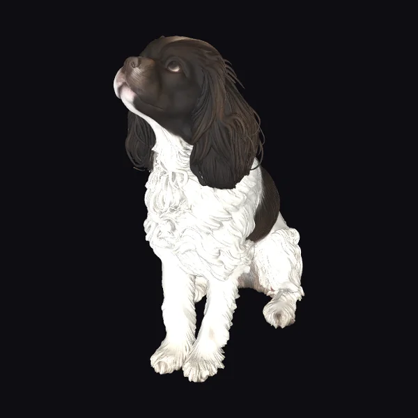 Cocker Spaniel Dog