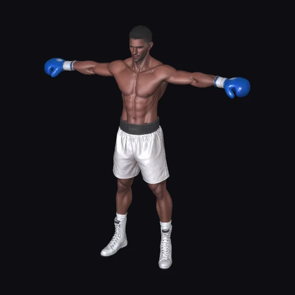Muscular Boxer in Stance