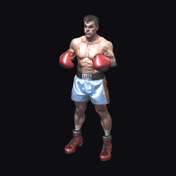 Boxer Full Body Gloves