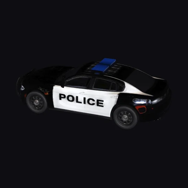 Police Patrol Car