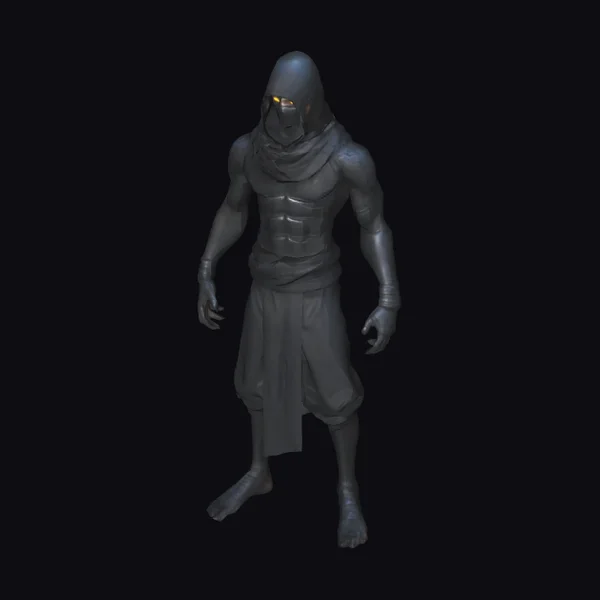 Dark Ninja Creature