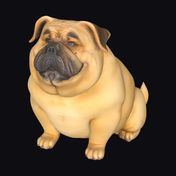 Sitting Fat Bulldog