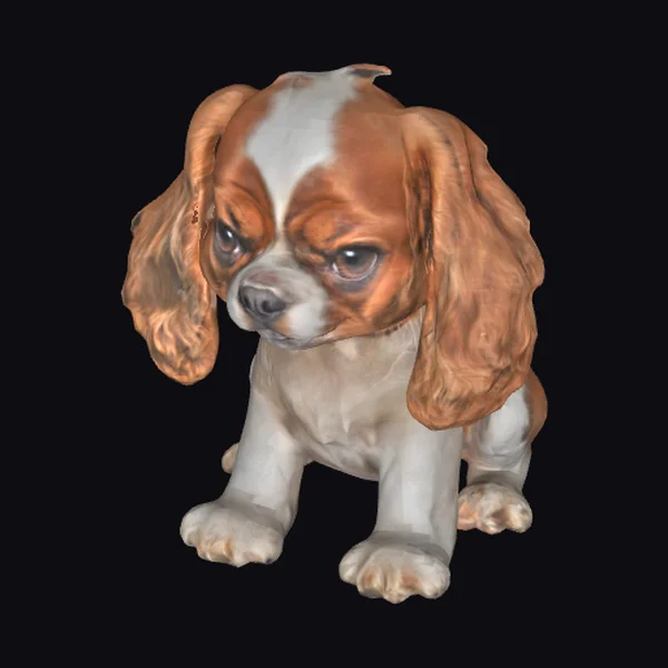 Cavalier Dog Sitting